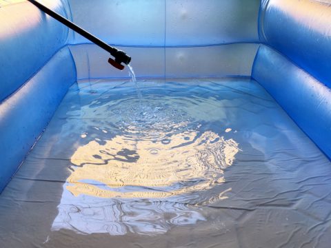 A quelle fréquence nettoyer sa piscine ?